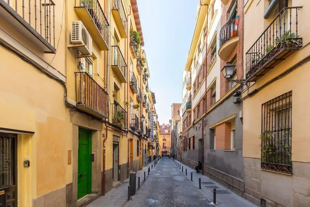 Charming Penthouse In Madrid-Centro - Oso-1